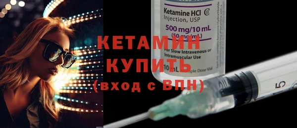 шишки Бородино
