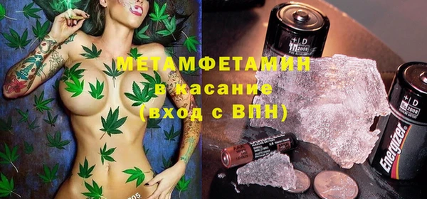 шишки Бородино