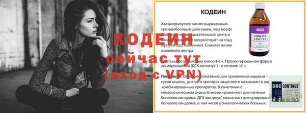шишки Бородино