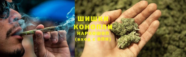 шишки Бородино
