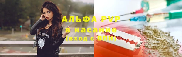 шишки Бородино