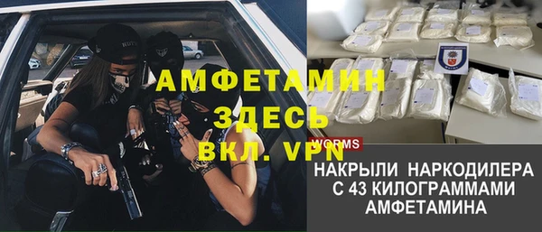 шишки Бородино