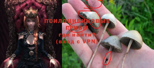 шишки Бородино