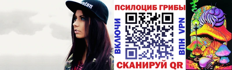 Галлюциногенные грибы Psilocybine cubensis  Малая Вишера 